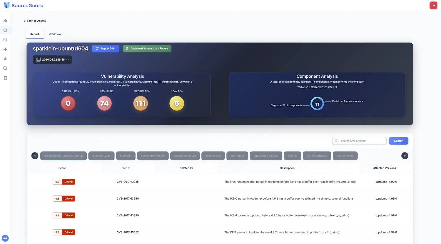 Binary vulnerability analysis report listing scanned components, detected CVE identifiers, CVSS severity scores and affected versions